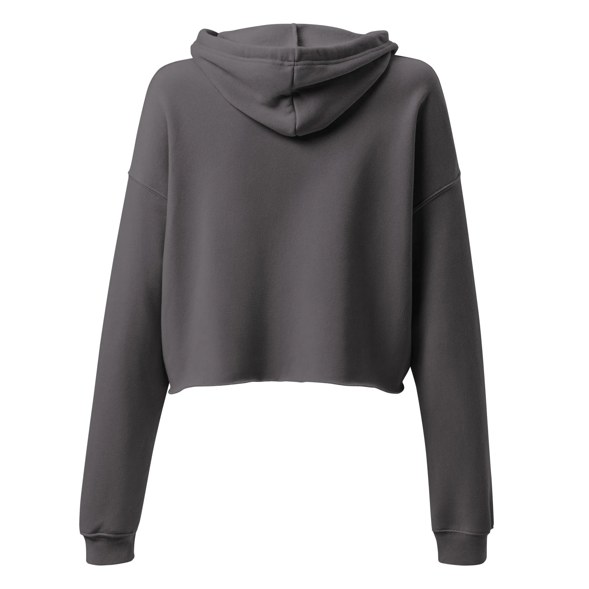 DUO MODERN "Slay In Progress" Please Stand By Crop Hoodie